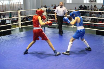 В РВВДКУ завершился чемпионат Вооружённых Сил по боксу